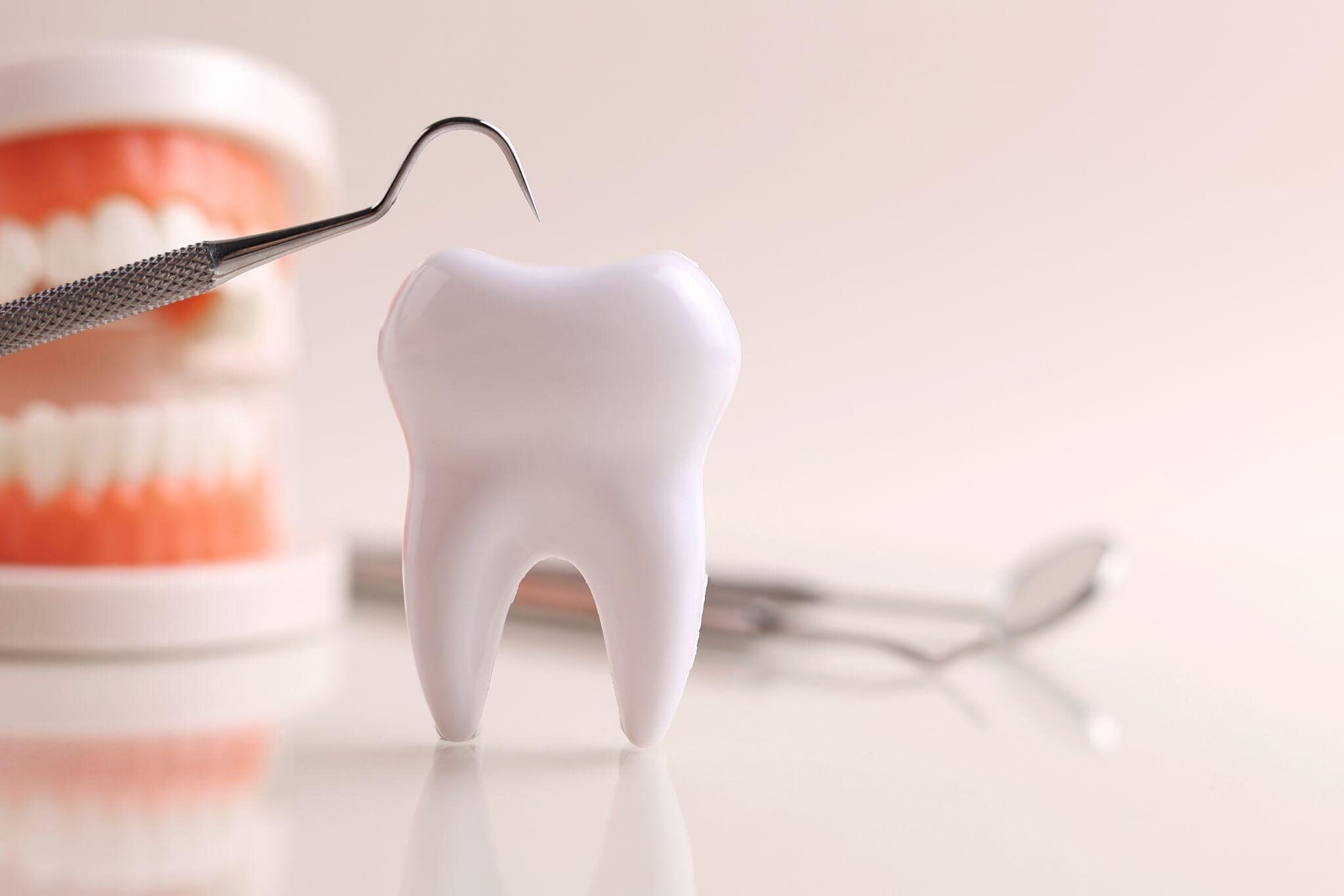 手入れ不足で起こるトラブル